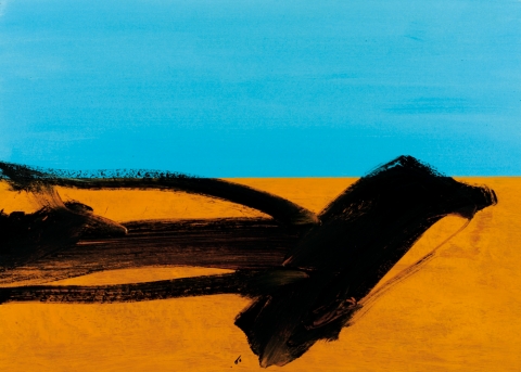 1000×714 px